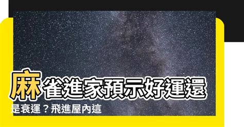 麻雀進屋|【麻雀飛進家裏】麻雀報喜！麻雀飛進家裡就代表好事降臨？